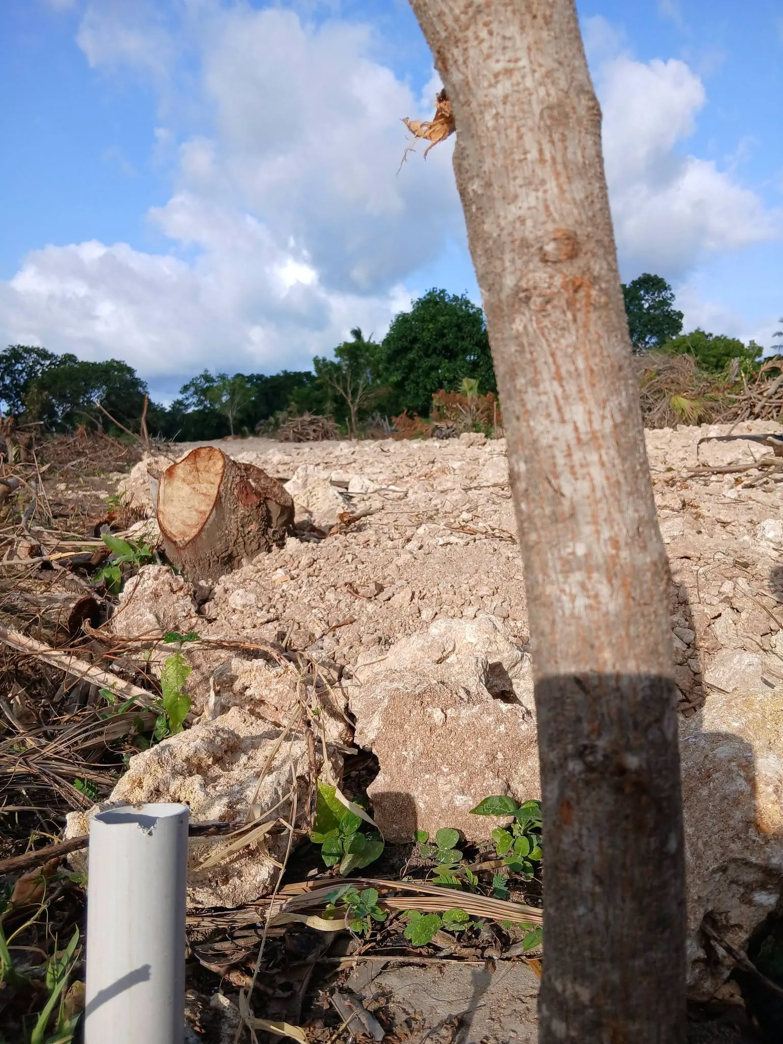 Plot For Sale in Mtwapa video image